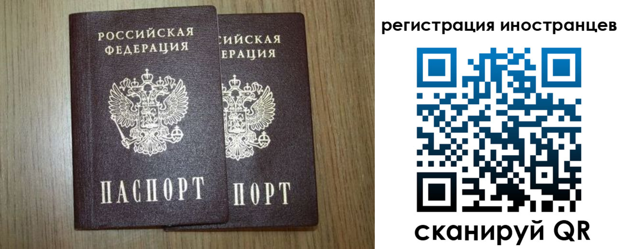 прописка для школы в Зеленогорске